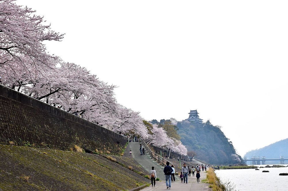 木曽川の岸の山の上に建つ犬山城