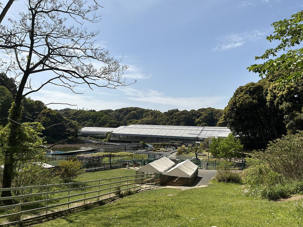 掛川花鳥園の屋外エリアと大きなガラスの温室