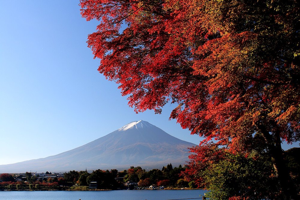 紅葉した木々と雪をかぶった富士山、河口湖