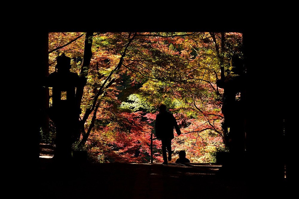 香積寺の山門まわりの紅葉