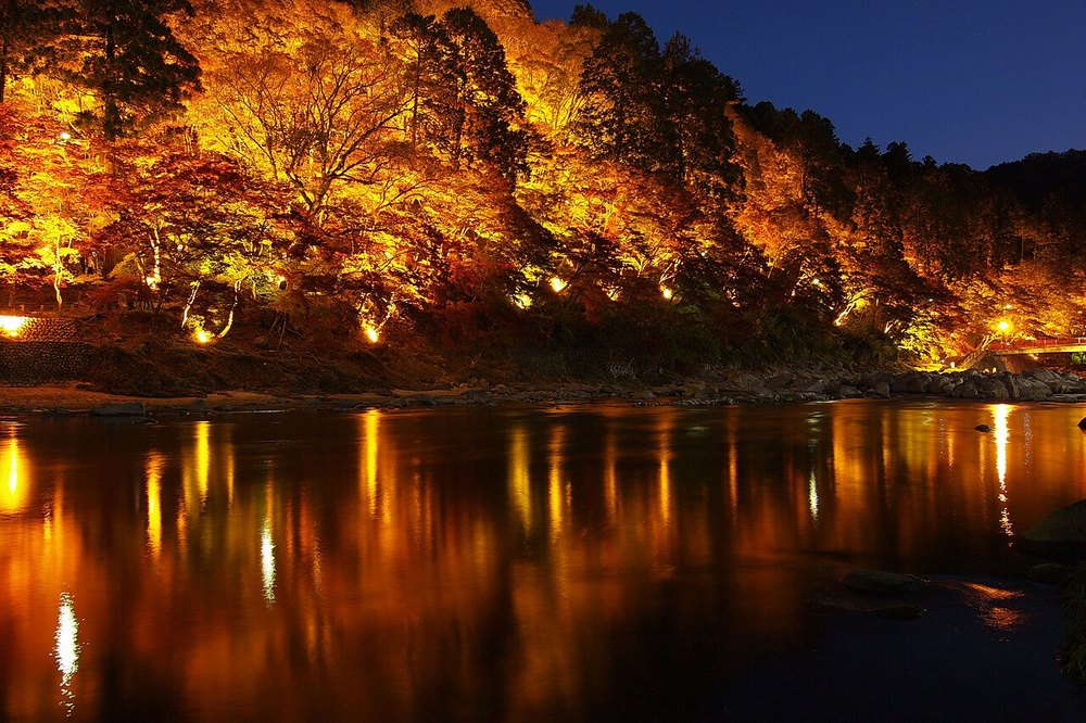 ライトアップされた香嵐渓の紅葉