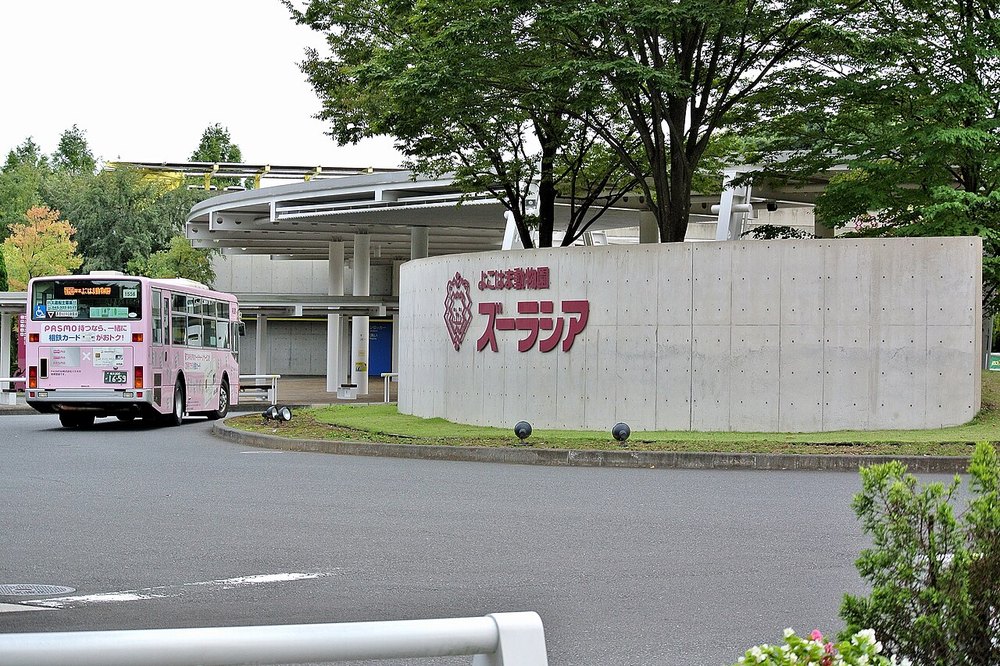 よこはま動物園ズーラシアの正門前。ロゴの入った壁と路線バス